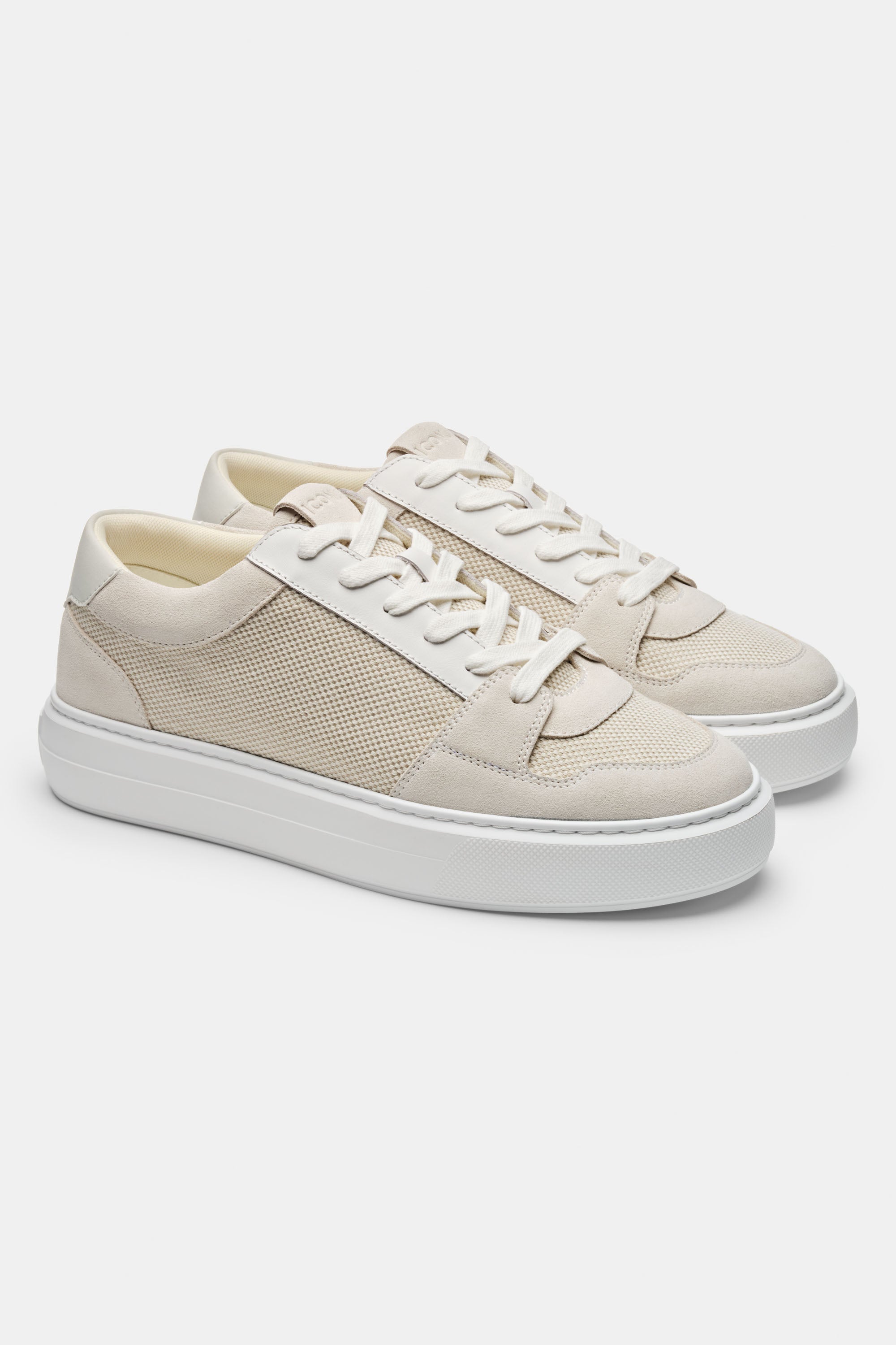 THE PAVIO TRAINER - PURECLO