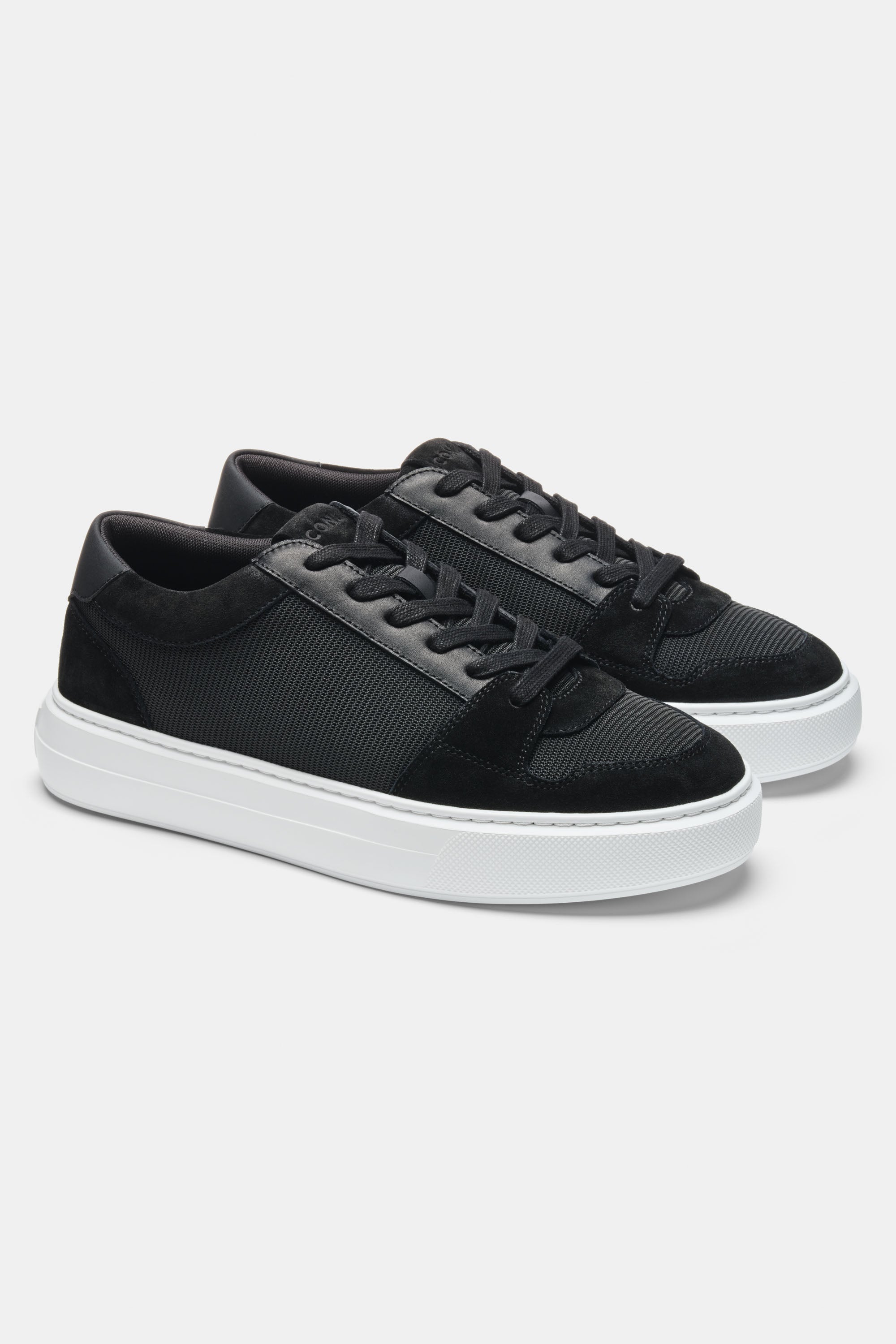 THE PAVIO TRAINER - PURECLO